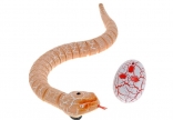  Le-yu-toys  /  Rattle snake ()